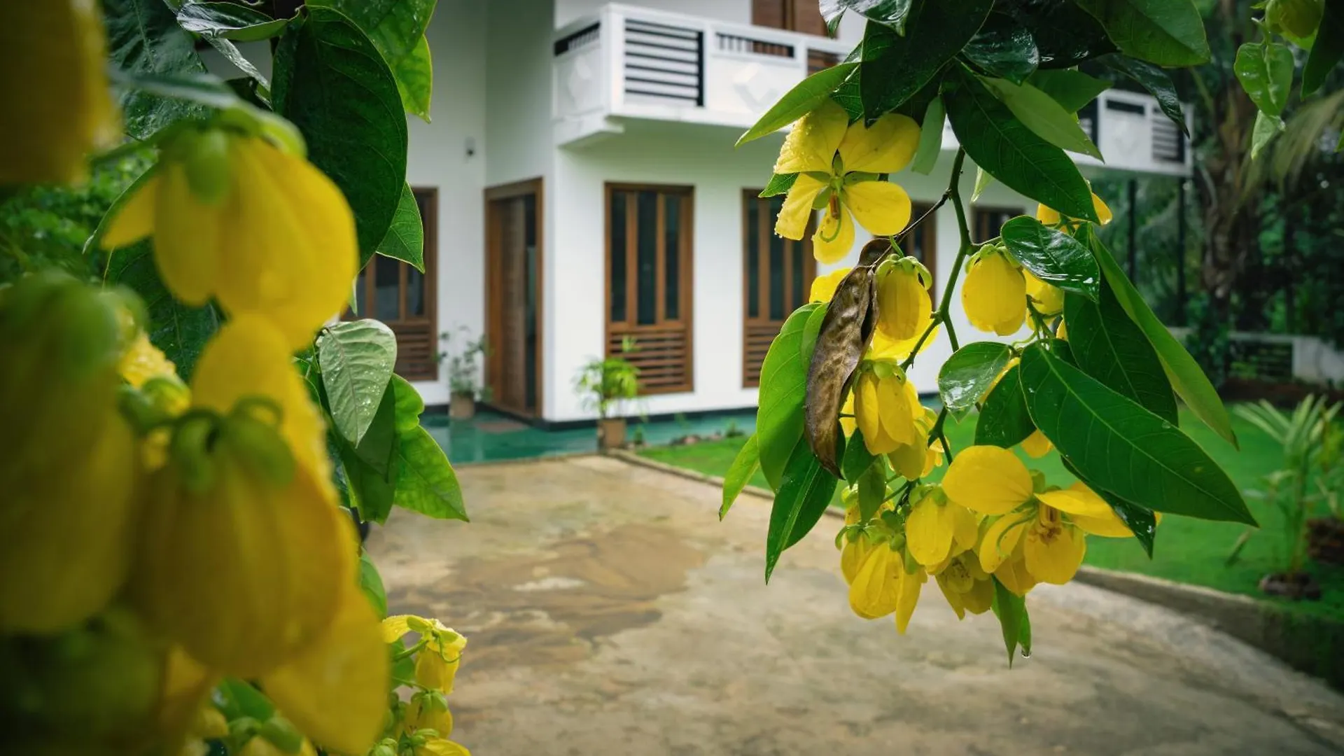 Bed & Breakfast Sierra Mount Villa Kandy Sri Lanka
