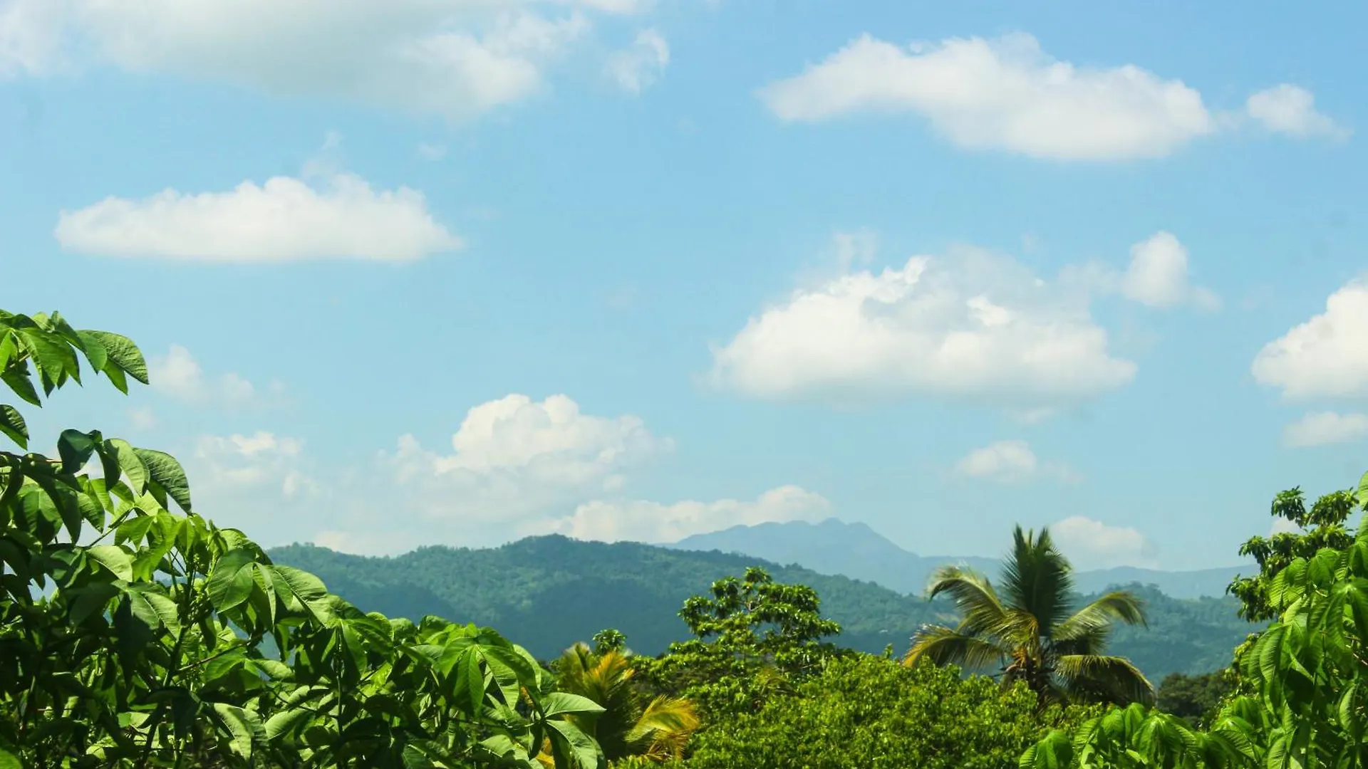 Bed & Breakfast Sierra Mount Villa Kandy