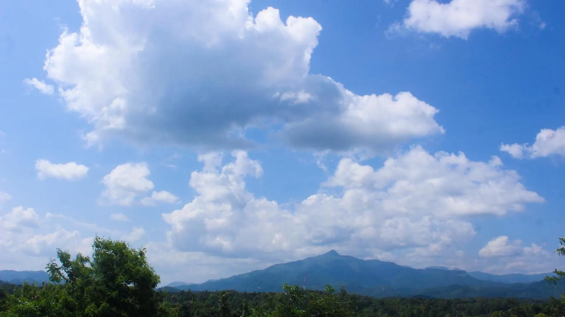 Sierra Mount Villa Kandy Bed & Breakfast
